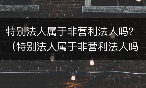 特别法人属于非营利法人吗？（特别法人属于非营利法人吗）