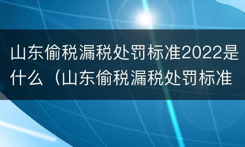 山东偷税漏税处罚标准2022是什么（山东偷税漏税处罚标准2022是什么样的）