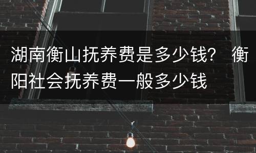 湖南衡山抚养费是多少钱？ 衡阳社会抚养费一般多少钱