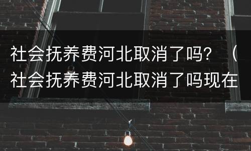 社会抚养费河北取消了吗？（社会抚养费河北取消了吗现在）