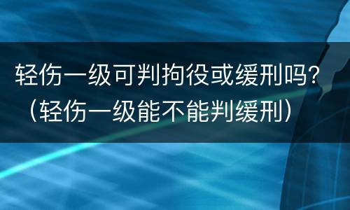 轻伤一级可判拘役或缓刑吗？（轻伤一级能不能判缓刑）