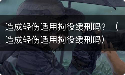 造成轻伤适用拘役缓刑吗？（造成轻伤适用拘役缓刑吗）