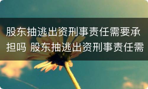 股东抽逃出资刑事责任需要承担吗 股东抽逃出资刑事责任需要承担吗法律