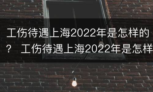 工伤待遇上海2022年是怎样的？ 工伤待遇上海2022年是怎样的呢