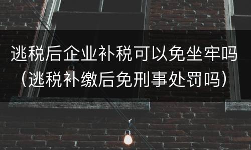 逃税后企业补税可以免坐牢吗（逃税补缴后免刑事处罚吗）