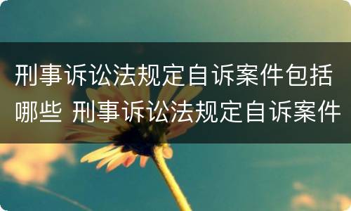 刑事诉讼法规定自诉案件包括哪些 刑事诉讼法规定自诉案件包括哪些类型