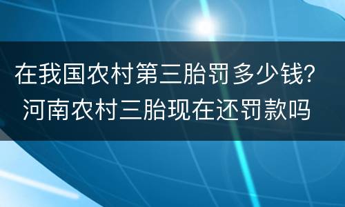 在我国农村第三胎罚多少钱？ 河南农村三胎现在还罚款吗