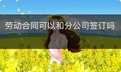 劳动合同可以和分公司签订吗