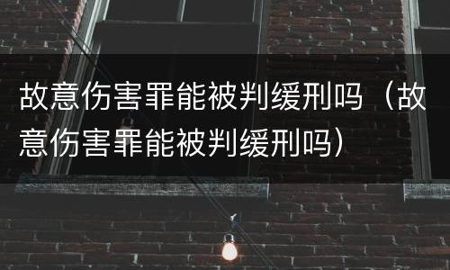 故意伤害罪能被判缓刑吗（故意伤害罪能被判缓刑吗）