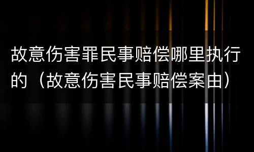 故意伤害罪民事赔偿哪里执行的（故意伤害民事赔偿案由）