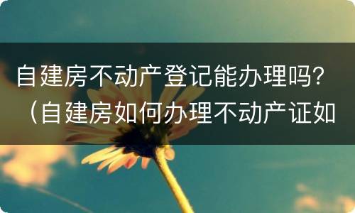 自建房不动产登记能办理吗？（自建房如何办理不动产证如何办理）