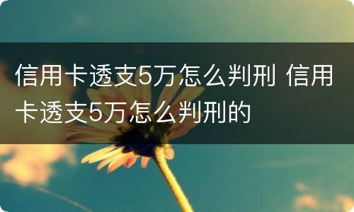 信用卡透支5万怎么判刑 信用卡透支5万怎么判刑的