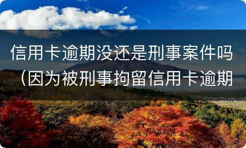 信用卡逾期没还是刑事案件吗（因为被刑事拘留信用卡逾期）