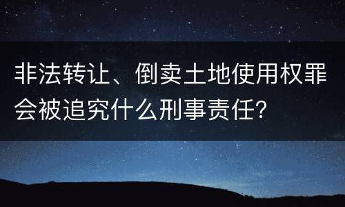 非法转让、倒卖土地使用权罪会被追究什么刑事责任？