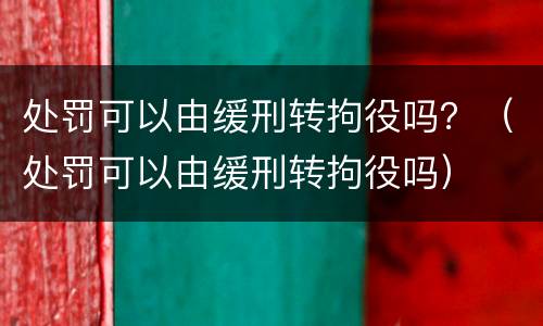 处罚可以由缓刑转拘役吗？（处罚可以由缓刑转拘役吗）