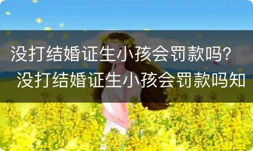 没打结婚证生小孩会罚款吗？ 没打结婚证生小孩会罚款吗知乎