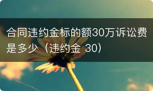 合同违约金标的额30万诉讼费是多少（违约金 30）