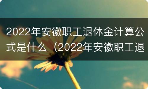 2022年安徽职工退休金计算公式是什么（2022年安徽职工退休金计算公式是什么呀）