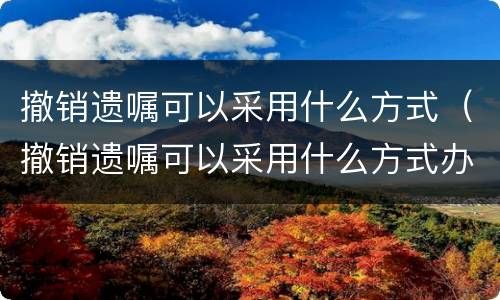 撤销遗嘱可以采用什么方式（撤销遗嘱可以采用什么方式办理）