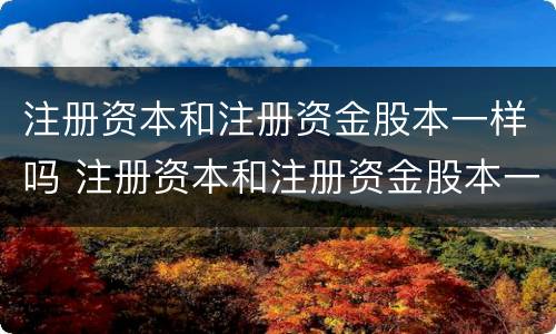 注册资本和注册资金股本一样吗 注册资本和注册资金股本一样吗