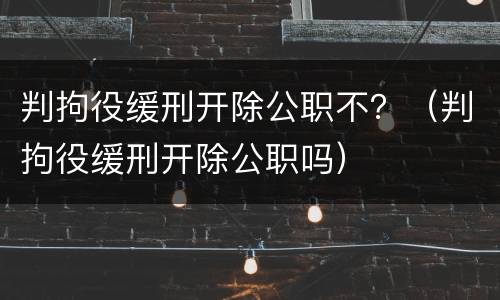 判拘役缓刑开除公职不？（判拘役缓刑开除公职吗）