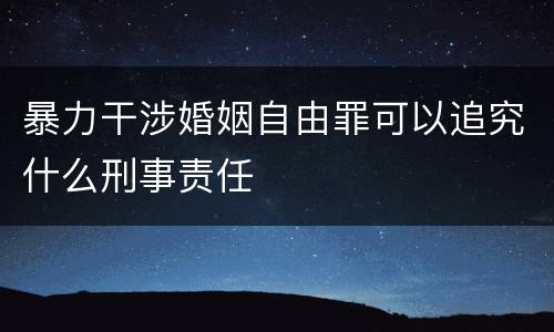 暴力干涉婚姻自由罪可以追究什么刑事责任