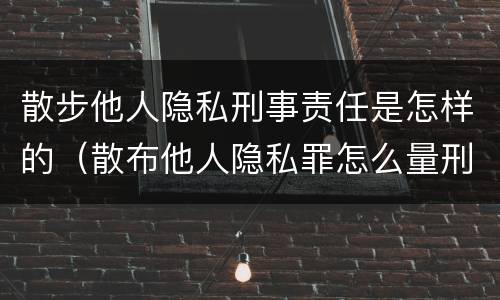 散步他人隐私刑事责任是怎样的（散布他人隐私罪怎么量刑）