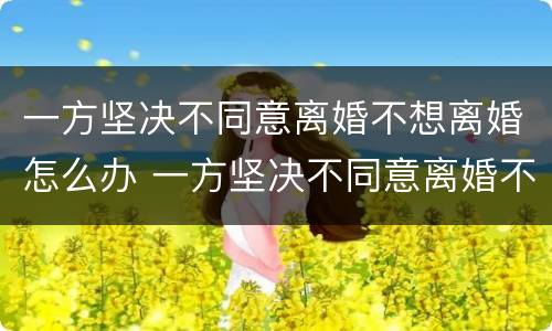 一方坚决不同意离婚不想离婚怎么办 一方坚决不同意离婚不想离婚怎么办理