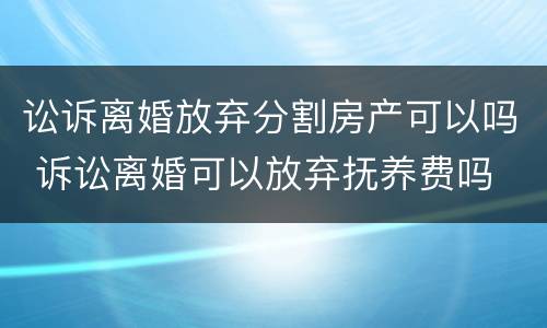 讼诉离婚放弃分割房产可以吗 诉讼离婚可以放弃抚养费吗