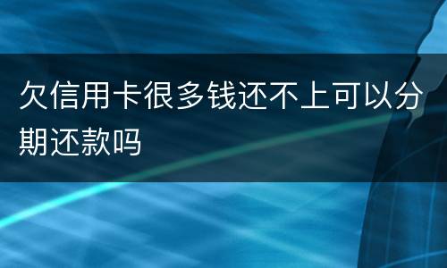 欠信用卡很多钱还不上可以分期还款吗