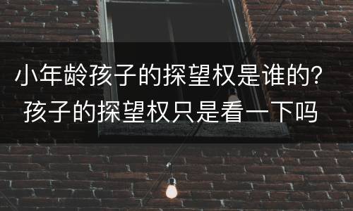 小年龄孩子的探望权是谁的？ 孩子的探望权只是看一下吗