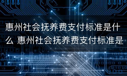 惠州社会抚养费支付标准是什么 惠州社会抚养费支付标准是什么样的