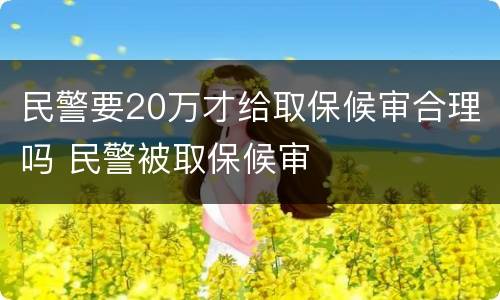 民警要20万才给取保候审合理吗 民警被取保候审