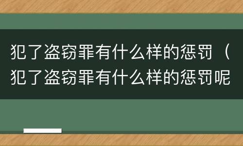 犯了盗窃罪有什么样的惩罚（犯了盗窃罪有什么样的惩罚呢）