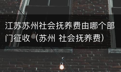 江苏苏州社会抚养费由哪个部门征收（苏州 社会抚养费）