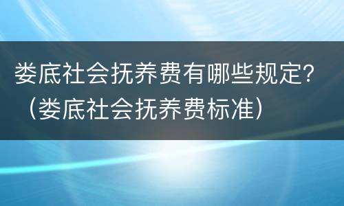 娄底社会抚养费有哪些规定？（娄底社会抚养费标准）