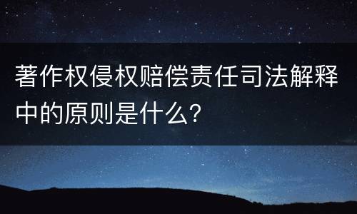 著作权侵权赔偿责任司法解释中的原则是什么？