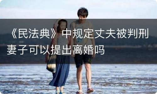 《民法典》中规定丈夫被判刑妻子可以提出离婚吗