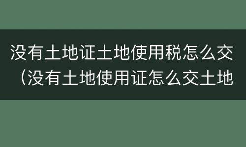 没有土地证土地使用税怎么交（没有土地使用证怎么交土地使用税）