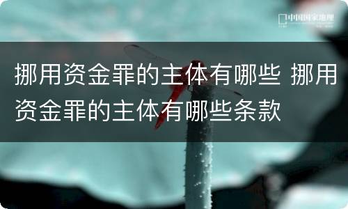 挪用资金罪的主体有哪些 挪用资金罪的主体有哪些条款