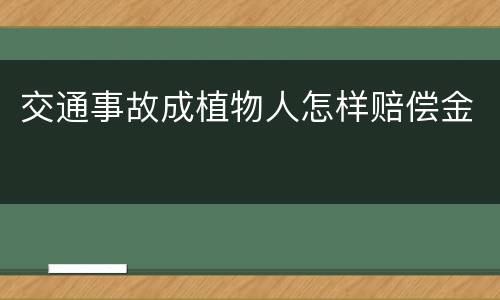 交通事故成植物人怎样赔偿金