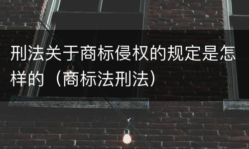 刑法关于商标侵权的规定是怎样的（商标法刑法）