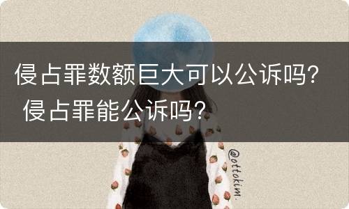 侵占罪数额巨大可以公诉吗？ 侵占罪能公诉吗?