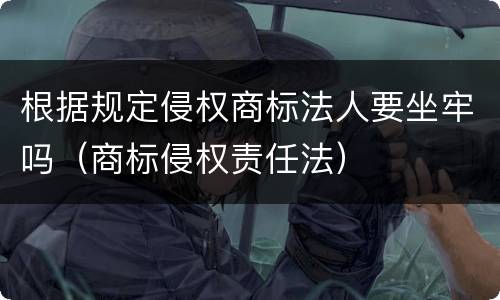 根据规定侵权商标法人要坐牢吗（商标侵权责任法）