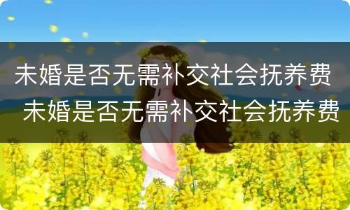 未婚是否无需补交社会抚养费 未婚是否无需补交社会抚养费的情况