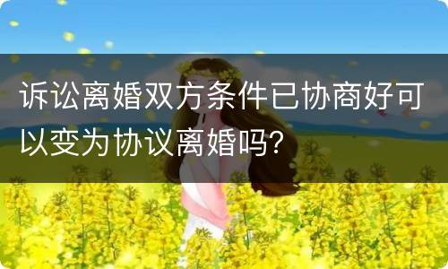 诉讼离婚双方条件已协商好可以变为协议离婚吗？