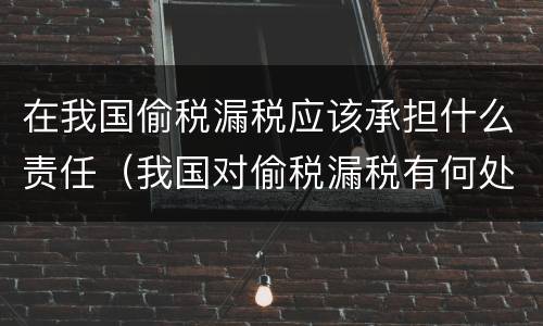 在我国偷税漏税应该承担什么责任（我国对偷税漏税有何处罚）