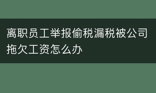 离职员工举报偷税漏税被公司拖欠工资怎么办