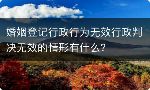 婚姻登记行政行为无效行政判决无效的情形有什么？