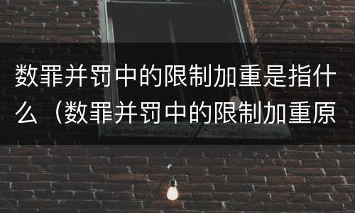 数罪并罚中的限制加重是指什么（数罪并罚中的限制加重原则）